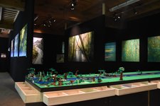 Blick in die Ausstellung