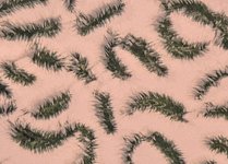Foto: Elisabeth Zahnd «Salix III» (Ausschnitt) ©2022