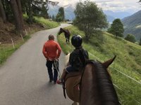 Zeit mit Pferden
