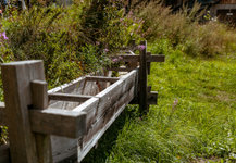 0476_F1008317_WEB©christianpfammatter.jpg Quelle: CHRISTIAN PFAMMATTER, CHRISTIA PFAMMATTER