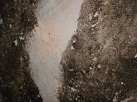 IMG 4895
