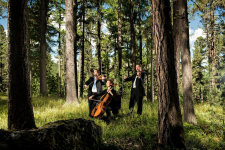 Camerata