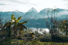 Aussicht