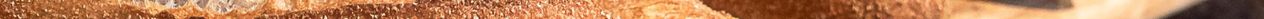 © Symbolbild: Adobe Stock