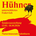 Inserat SA Huehner 1zu1