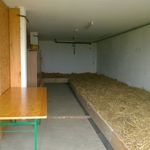 Sch&ouml;ner Bauernhof mit viel Umland und Wald, abseits gelegen, jedoch trotzdem gut erreichbar mit &Ouml;V