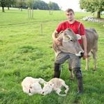 Feldenmoos
