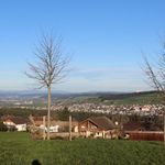 Negozio in fattoria | Manifestazione in fattoria Oberamsig