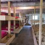 Schlafen im Stroh - Hof Hintertann