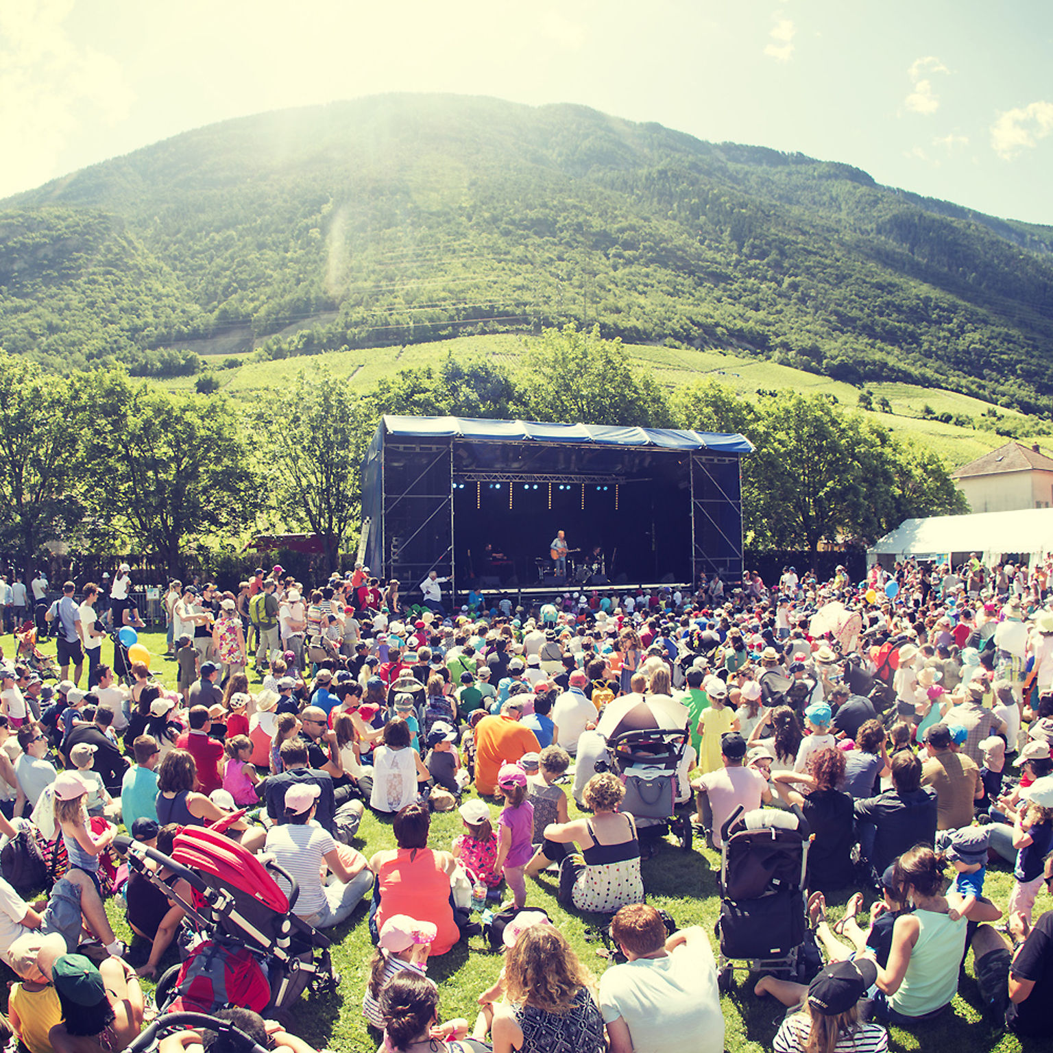 Festival herisson sous gazon charrat