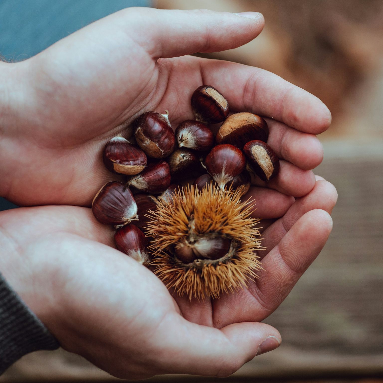 Sebastien bourguet sxrpceiAKts unsplash