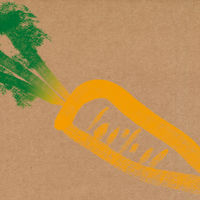 lepotager_carotte_2320x1080.png