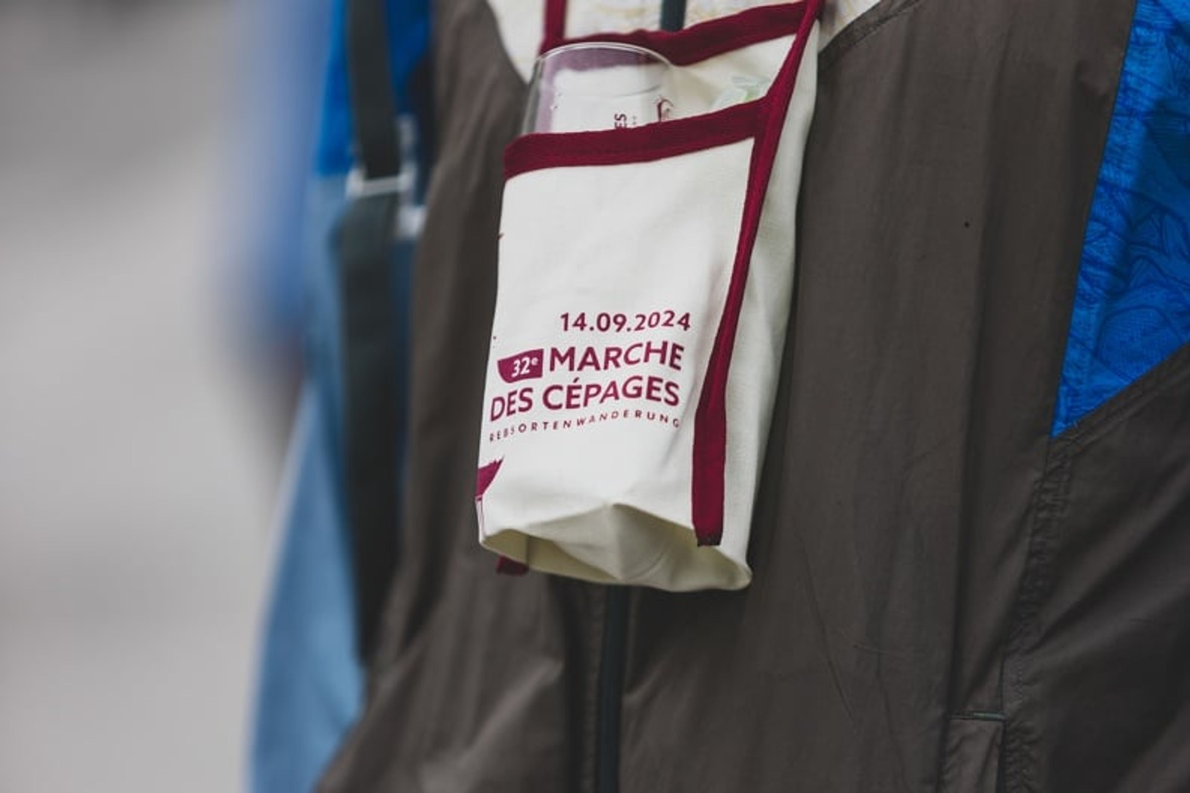 Marche des cépages 3 (© Luca Morganella)
