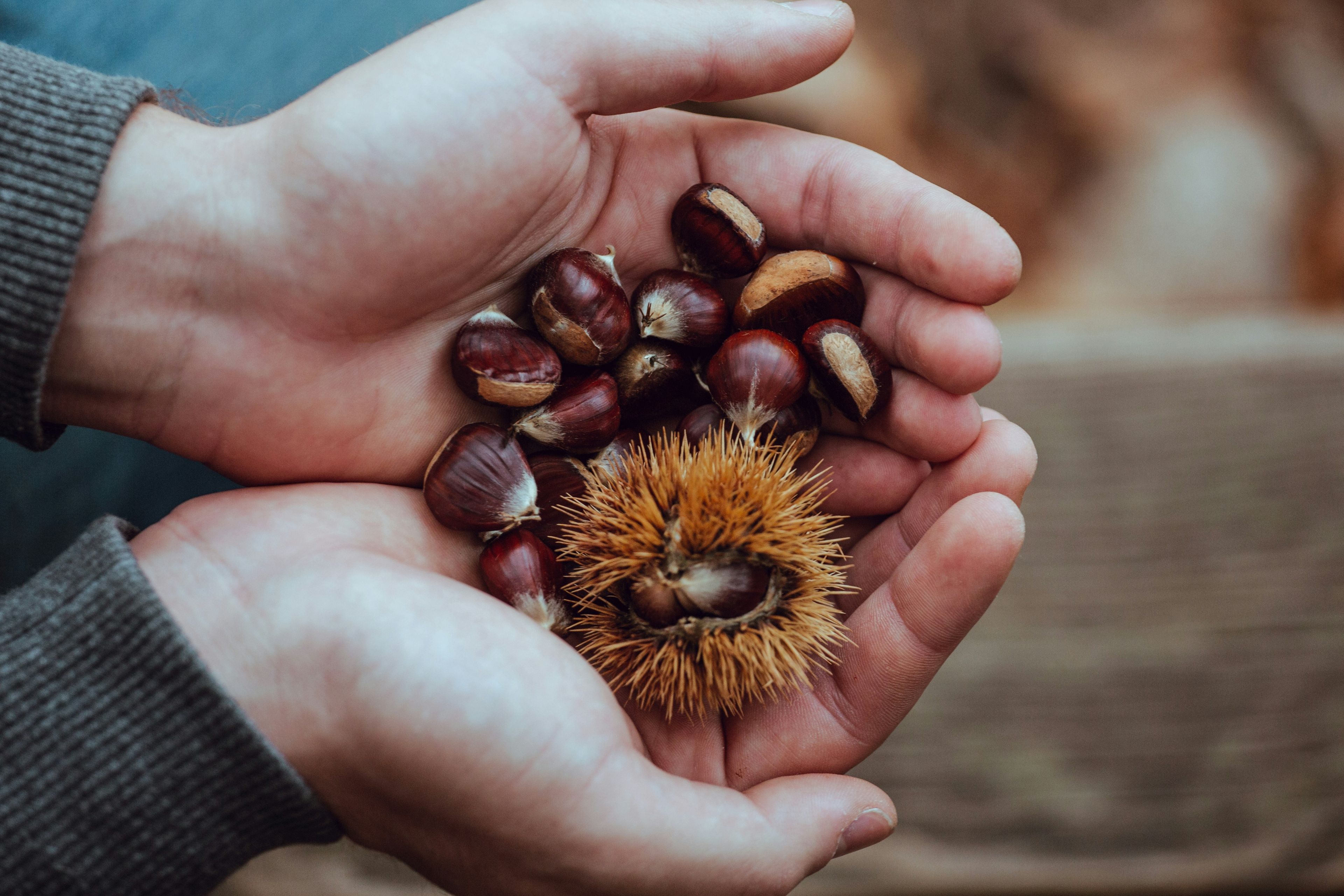 Sebastien bourguet sxrpceiAKts unsplash