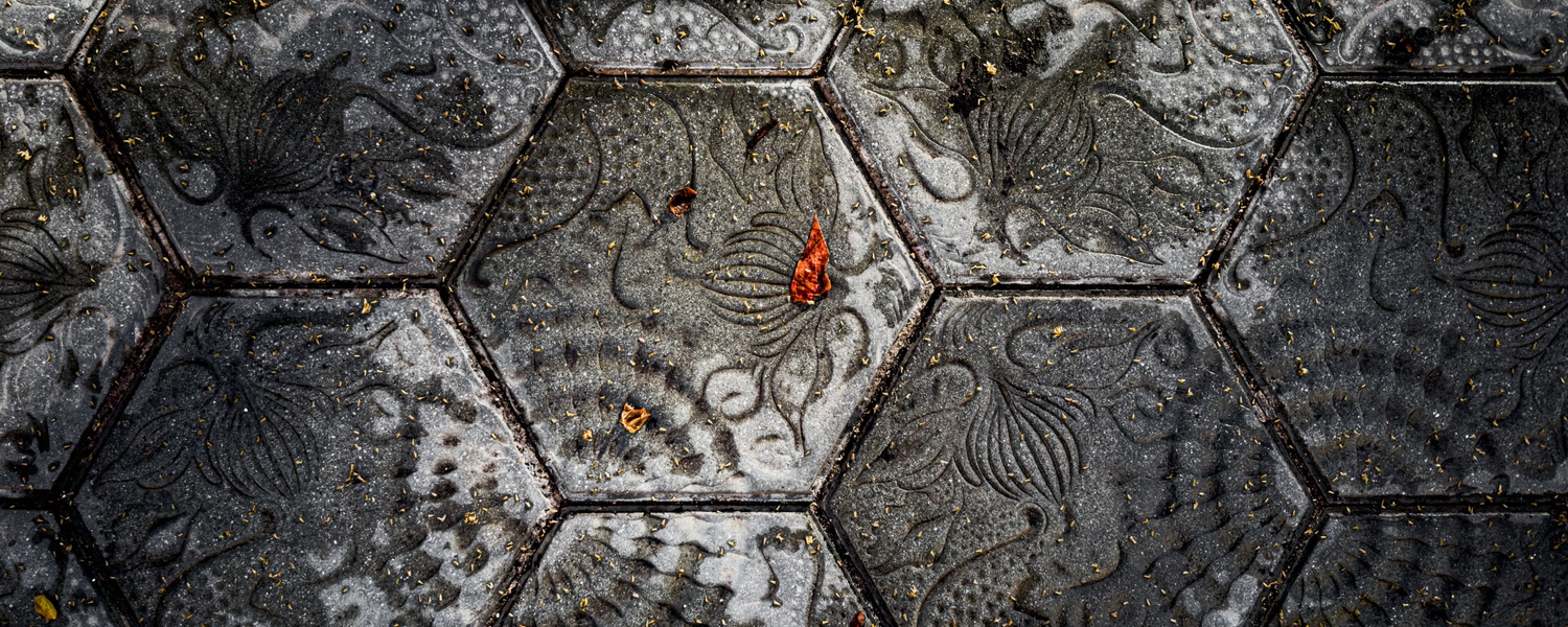 Cover Photo for Svelte Society – Barcelona