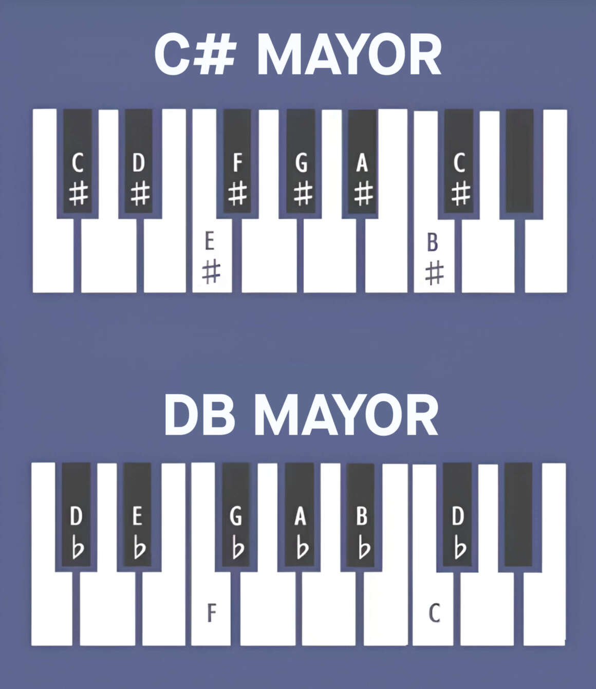 circulo de quintas