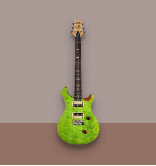 PRS SE Custom 24
