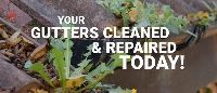 Unique Gutter Cleaning & Repairs