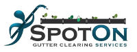 Gutter Cleaners Spot On Gutter Clearing Services in Low Fell England