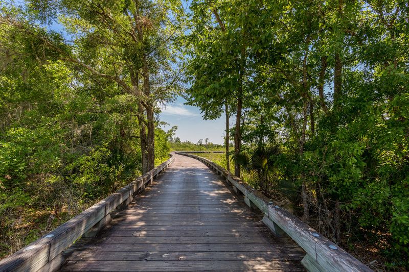 Enjoy a walk anytime of day