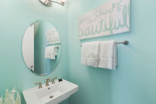 Half bathroom downstairs