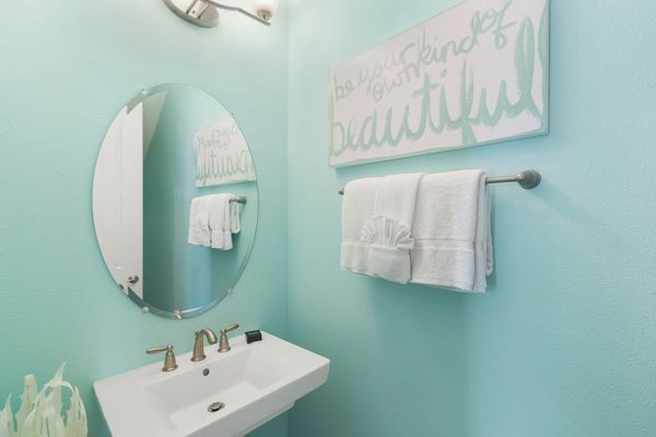 Half bathroom downstairs