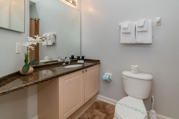 Queen Suite Bathroom 2
Downstairs
Tub/Shower Combo