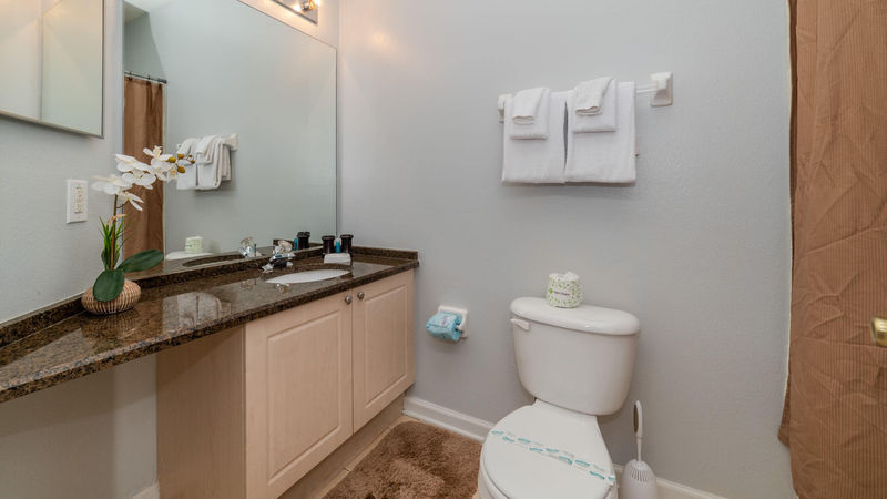 Queen Suite Bathroom 2
Downstairs
Tub/Shower Combo