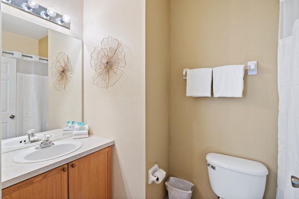 Queen Suite Bathroom 2 Downstairs Shower/Tub Combo