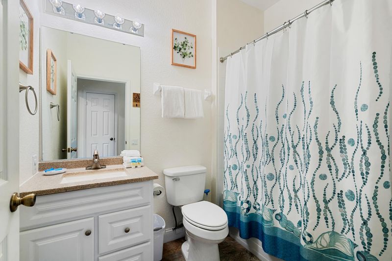 Hall Bathroom 3 Downstairs Tub/Shower Combo