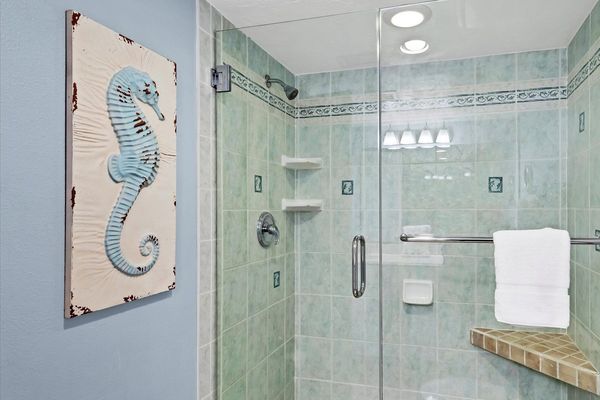 Master Bathroom (Angle)
Walk-In Shower