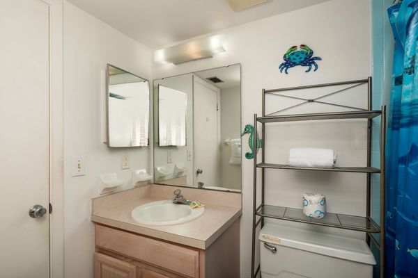Guest bathroom with shower/tub combo
