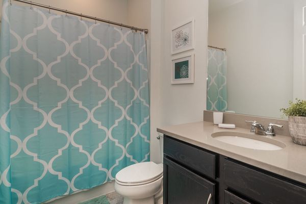 Hall Bathroom 2 Downstairs
Tub/Shower Combo