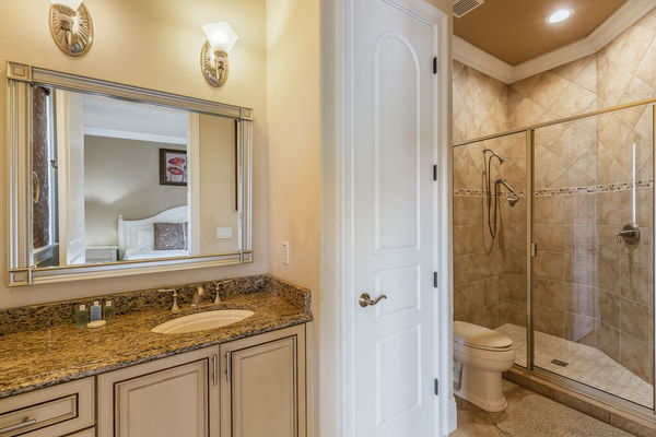 Ensuite bathroom with walk-in shower