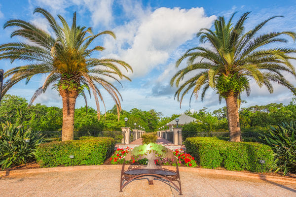 Florida Botanical Garden