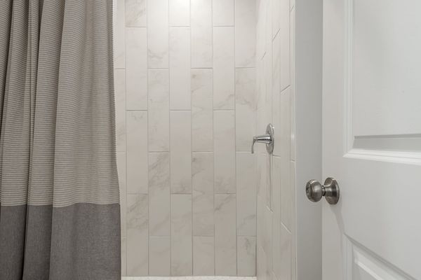 Master Bathroom shower