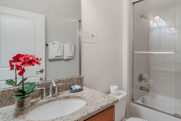 Hall Bathroom 5 downstairs
Tub/Shower Combo