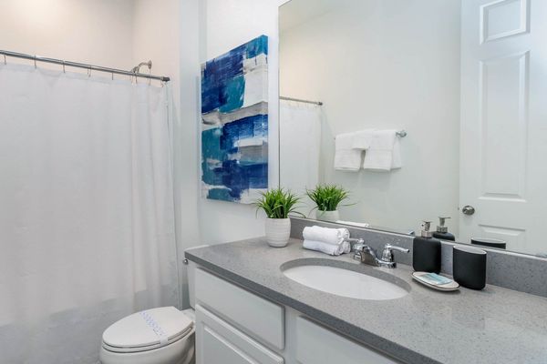 Hall Bathroom 2 downstairs
Tub/Shower Combo