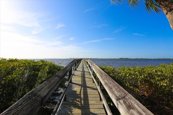 Pier over the Myakka