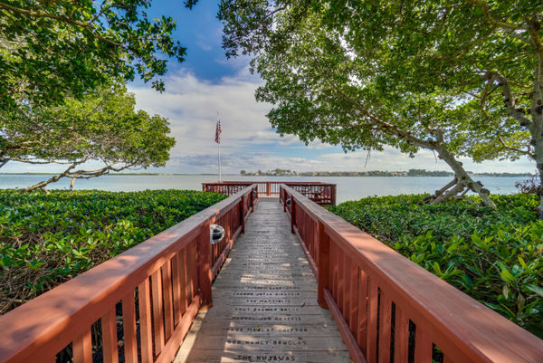 Viewing Dock