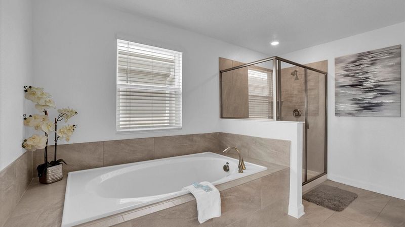 Master King Bathroom 1 (Angle)