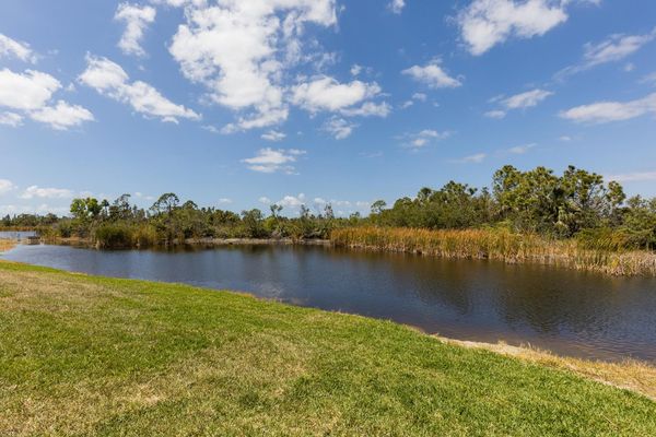 Pond behind the condo building