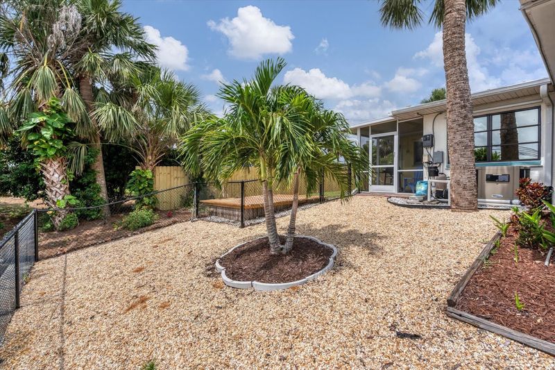 Big backyard