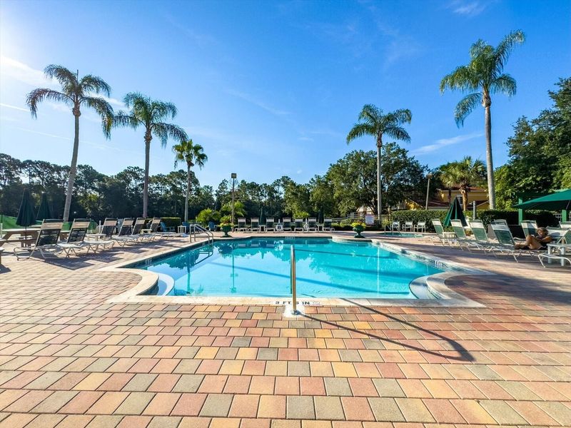 Resort Pool Area