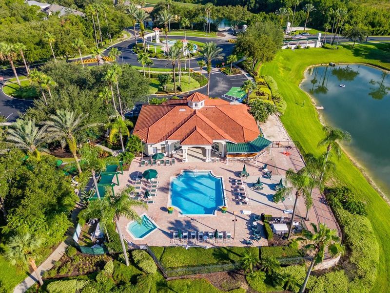 Resort Pool Area