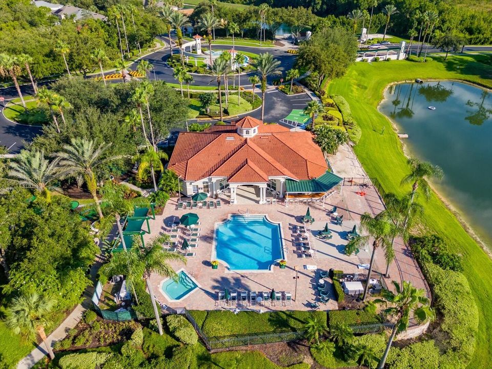 Resort Pool Area