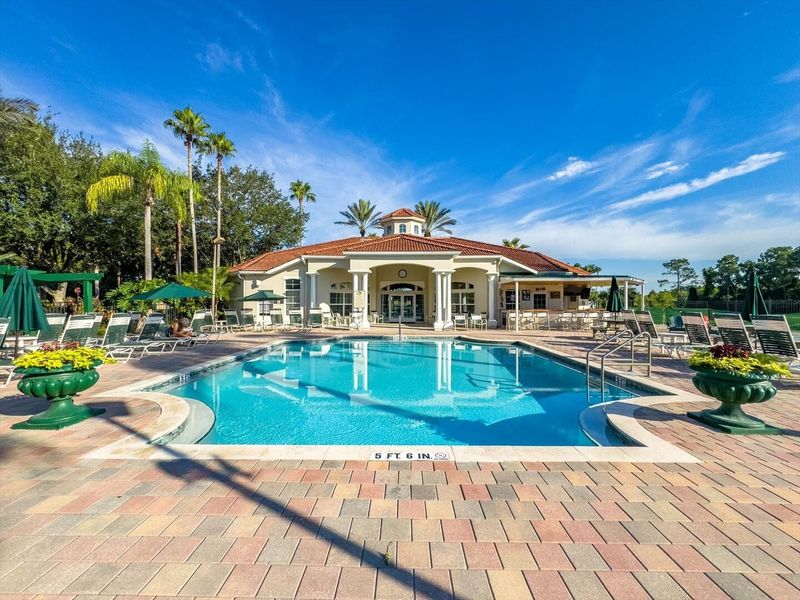 Resort Pool Area