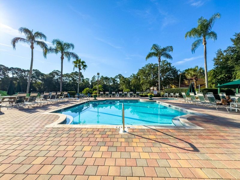 Resort Pool Area