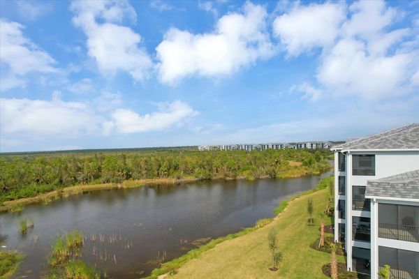Pond in the backyard