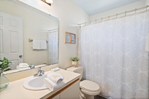 Hall Bathroom 2 Tub/Shower Combo